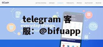 菲律宾三方支付 D0 秒结算通道上线｜币付Pay 比优优支付更稳定的原生方案